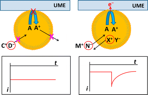 graphical-abstracts-PowerPoint-ACS-Analytical-Chemistry